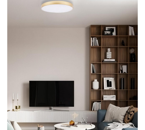 Потолочный светильник Loft IT Flims 10228/A Потолочный светильник Loft IT Flims 10228/A