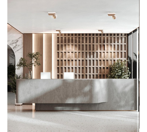 Накладной спот Loft IT Knof 10324/A Gold White