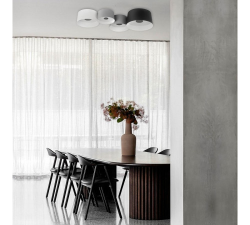 Потолочный светильник Loft IT Duo 10360/2 Потолочный светильник Loft IT Duo 10360/2
