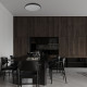 Потолочный светильник Loft IT Dime 10371 White