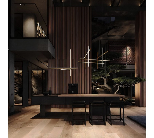 Подвесная люстра Loft IT Coordinates 10393/D