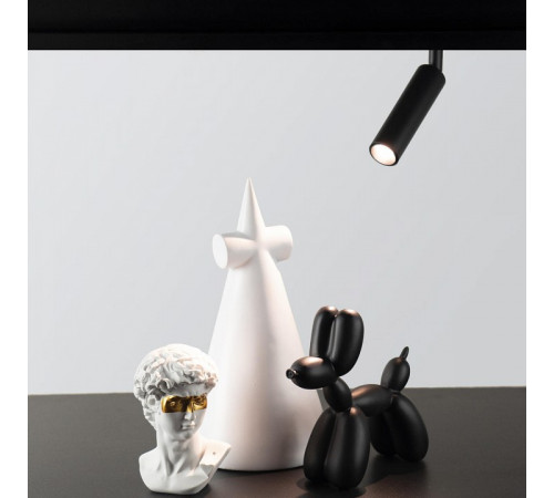 Трековый светильник Loft IT Tech T015-06