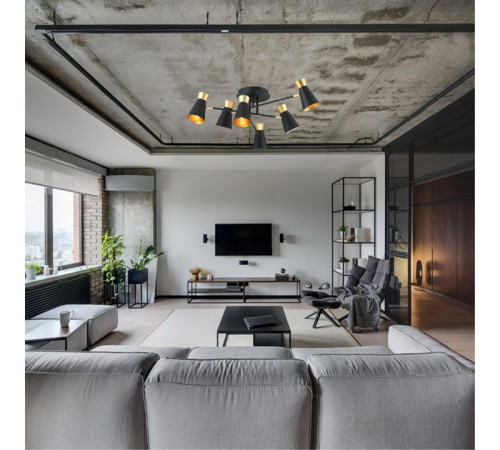 Потолочная люстра Lumion Liam 3790/6C