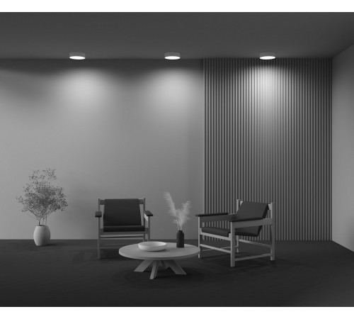 Потолочный светильник Maytoni Technical Ceiling Zon C032CL-24W4K-RD-MG Потолочный светильник Maytoni Technical Ceiling Zon C032CL-24W4K-RD-MG