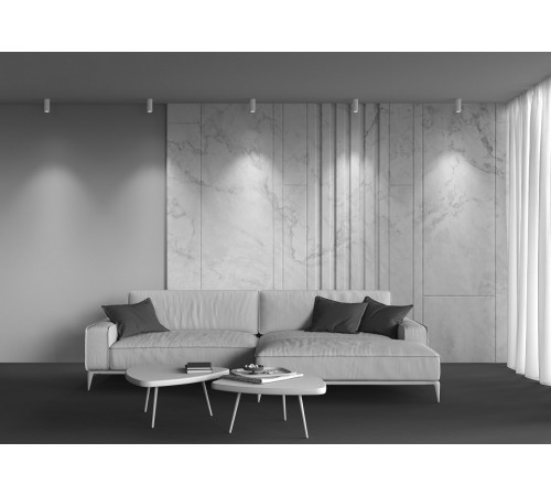 Накладной светильник Maytoni Focus led C056CL-L12W2.7K-W-BS
