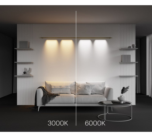 Трековый светильник Maytoni Points C101CL-L1000-24W3-6K-BS Трековый светильник Maytoni Points C101CL-L1000-24W3-6K-BS