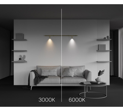 Трековый светильник Maytoni Focus LED C102CL-3W3-6K-BS