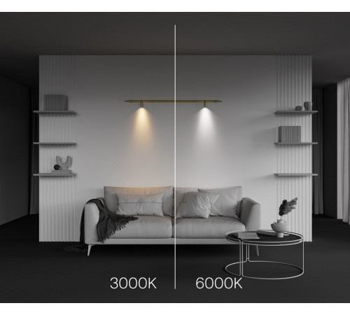 Трековый светильник Maytoni Focus LED C103CL-5W3-6K-BS