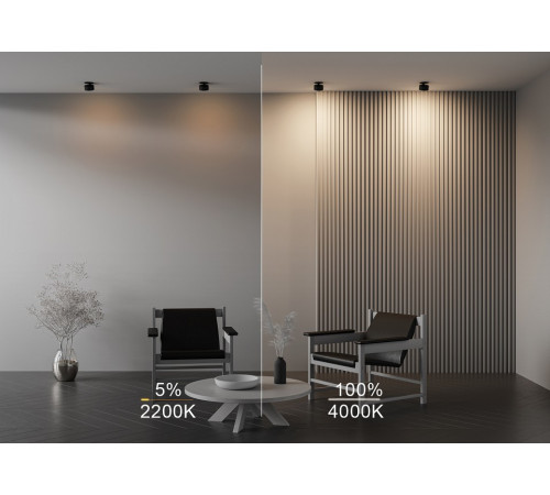 Встраиваемый спот Maytoni Onda DL024-12W-DTW-B Встраиваемый спот Maytoni Onda DL024-12W-DTW-B