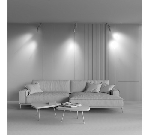 Трековый магнитный светильник Maytoni Elti Duo TR005-4-2X12W-DS-BW