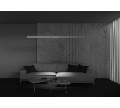 Трековый светодиодный светильник Maytoni Technical Points TR031-2-12W4K-B