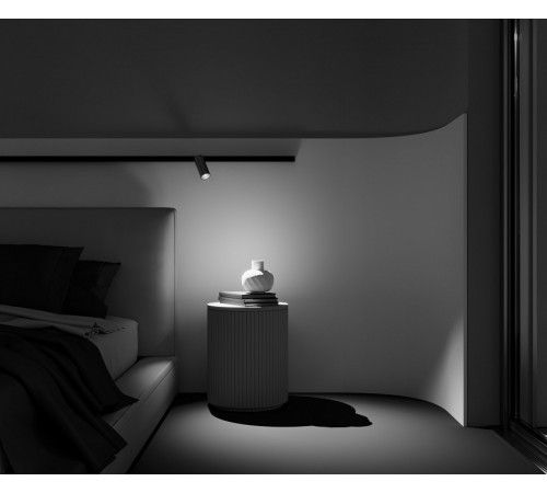 Трековый магнитный светильник Maytoni Focus Led TR032-2-12W2.7K-M-B