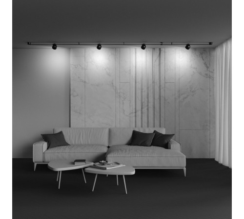 Трековый светильник Maytoni Cup TR124B-12W3K-M-B