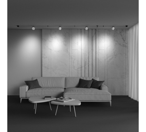 Трековый светильник Maytoni Cup TR124B-12W3K-M-B