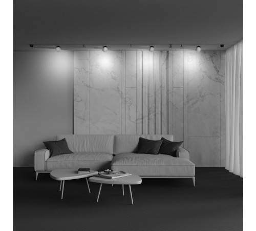Трековый светильник Maytoni Cup TR124B-12W3K-M-B