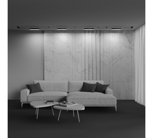 Трековый светильник Maytoni Basis TR129B-12W3K-B