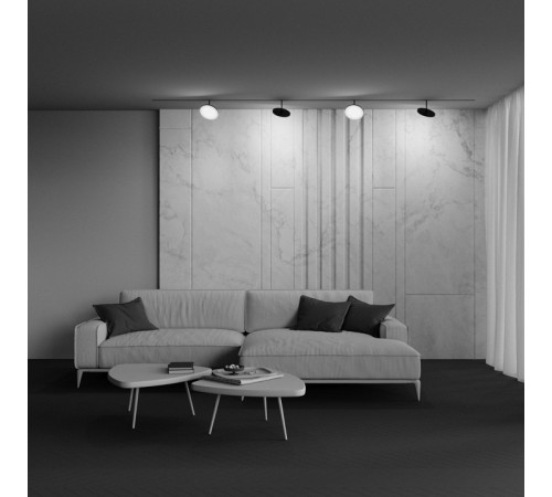 Трековый магнитный светильник Maytoni Plato TR131-2-15W3K-B Трековый магнитный светильник Maytoni Plato TR131-2-15W3K-B
