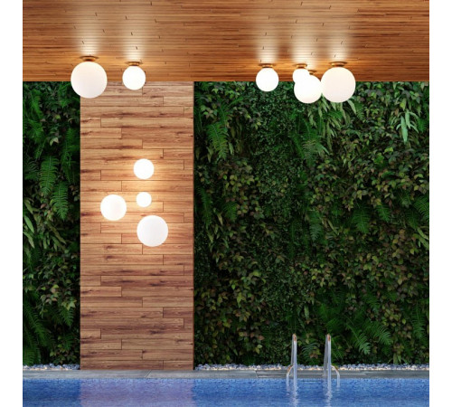 Потолочный светильник Odeon Light 4247/1C Потолочный светильник Odeon Light 4247/1C