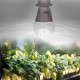 Лампа для растений Uniel LED-A60-10W/SPM3/E27/CL PLP35WH MULTIPLANT UL-00011438
