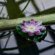 Светильник на солнечной батарее Uniel USL-S-828/PT060 PURPLE WATERLILY UL-00011601
