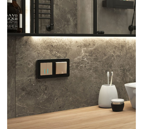 Рамка на 2 поста Werkel Platinum черный алюминий 4690389184451 W0022608