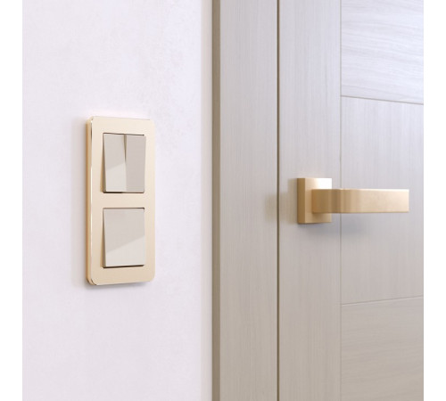Рамка на 2 поста Werkel Platinum шампань 4690389184468 W0022611