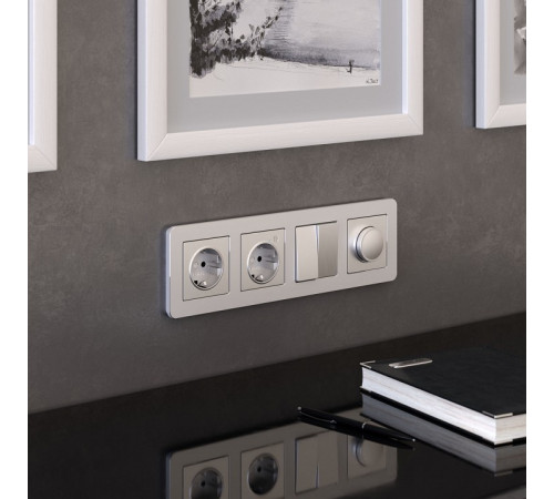 Рамка на 4 поста Werkel Platinum алюминий 4690389184505 W0042606