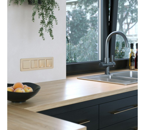 Рамка на 4 поста Werkel Platinum шампань 4690389184529 W0042611