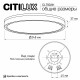 Настенно-потолочный светильник Citilux Etalon CL750241