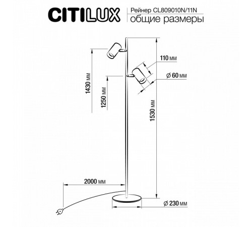 Торшер Citilux Twin CL809010N Торшер Citilux Twin CL809010N