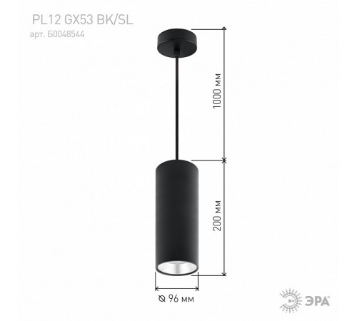 Подвесной светильник ЭРА PL12 GX53 BK/SL Б0048544