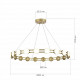 Подвесная люстра ST Luce Monro SL6610.203.20