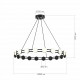 Подвесная люстра ST Luce Monro SL6610.403.20