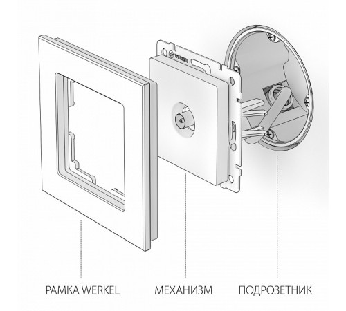 ТВ-розетка оконечная Werkel шампань рифленый W1183010 4690389160639